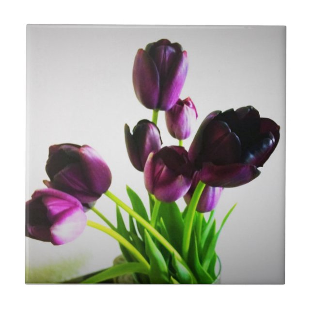 Dark Purple Tulips Tile (Front)