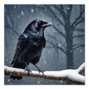 Dark Raven Black Bird Photo Print