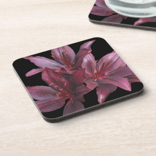 Dark Red Asiatic Lilies on Black Floral Coaster