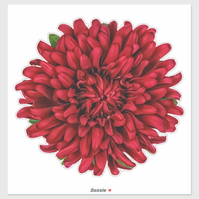 Dark Red Big Dahlia Pinnata Flower Sticker (Sheet)