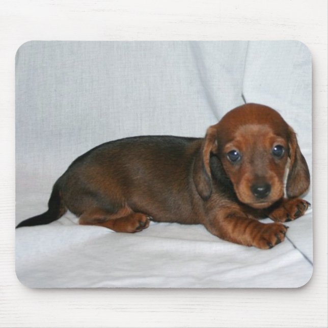 Dark Red Dachshund Puppy Mouse Pad (Front)