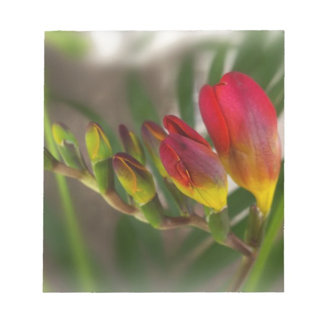 dark red freesia notepad (Front)