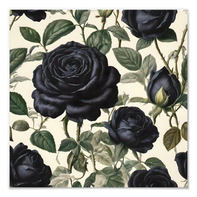 **"Dark Romance: Black Vintage Provincial Roses"** Photo Print (Front)
