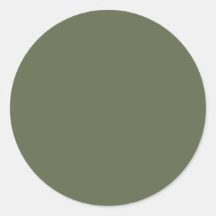 Dark Sage Green Elegant Neutral Solid Colour Classic Round Sticker
