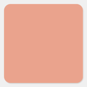 Dark Salmon Square Sticker