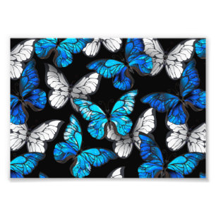 Dark Seamless Pattern with Blue Butterflies Morpho Photo Print