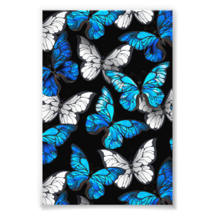 Dark Seamless Pattern with Blue Butterflies Morpho Photo Print