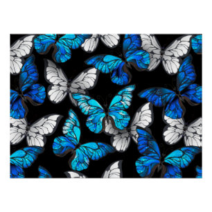 Dark Seamless Pattern with Blue Butterflies Morpho Poster
