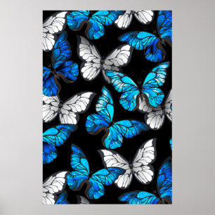 Dark Seamless Pattern with Blue Butterflies Morpho Poster