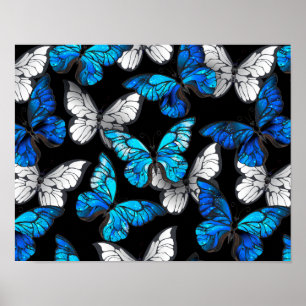 Dark Seamless Pattern with Blue Butterflies Morpho Poster