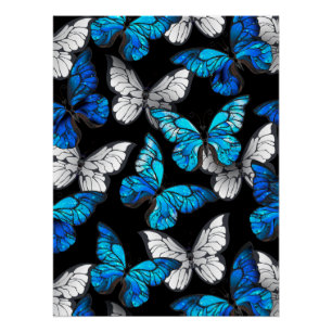 Dark Seamless Pattern with Blue Butterflies Morpho Poster