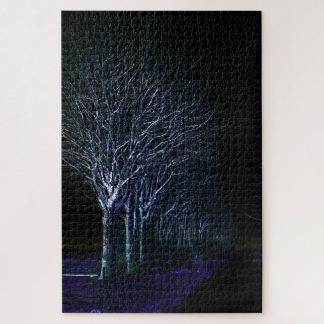 Dark Side 10 20x30 1014pc jpcna Jigsaw Puzzle (Vertical)