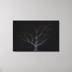 Dark Side 2 36x24 (90x60cm) waccnm Canvas Print