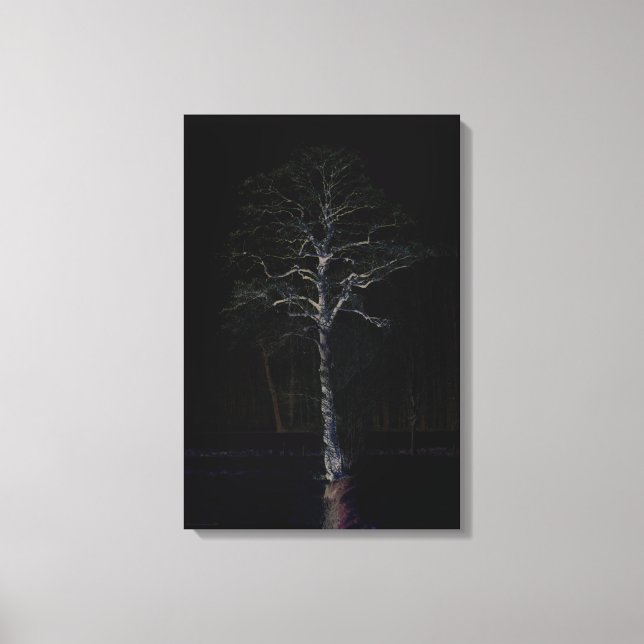 Dark Side 3 16x24 (40x60cm) waccna Canvas Print (Front)