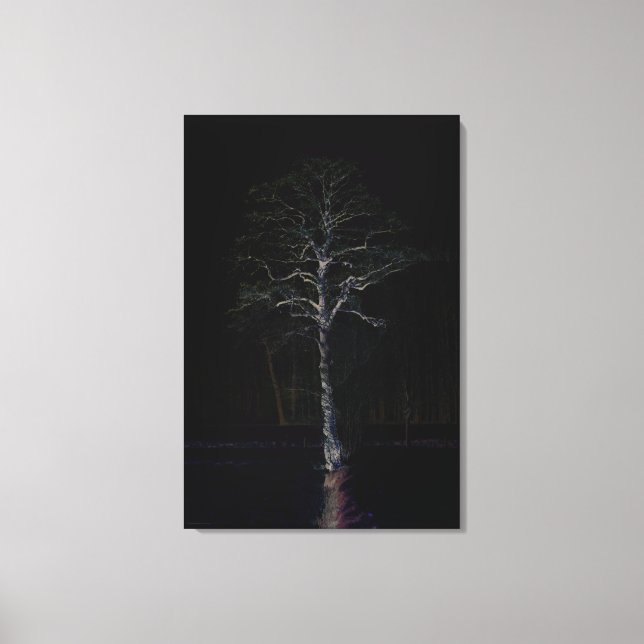 Dark Side 3 24x36 (60x90cm) waccnm Canvas Print (Front)