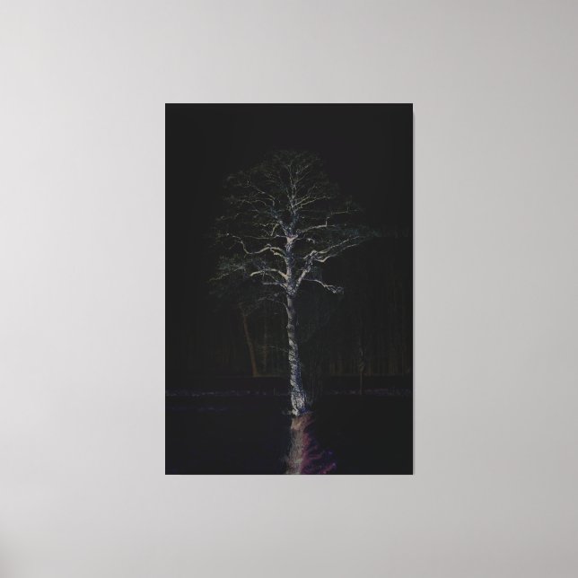 Dark Side 3 40x60 (100x150cm) waccna Canvas Print (Front)