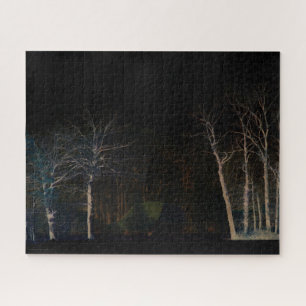 Dark Side 4 16x20 520pc jpcn Jigsaw Puzzle