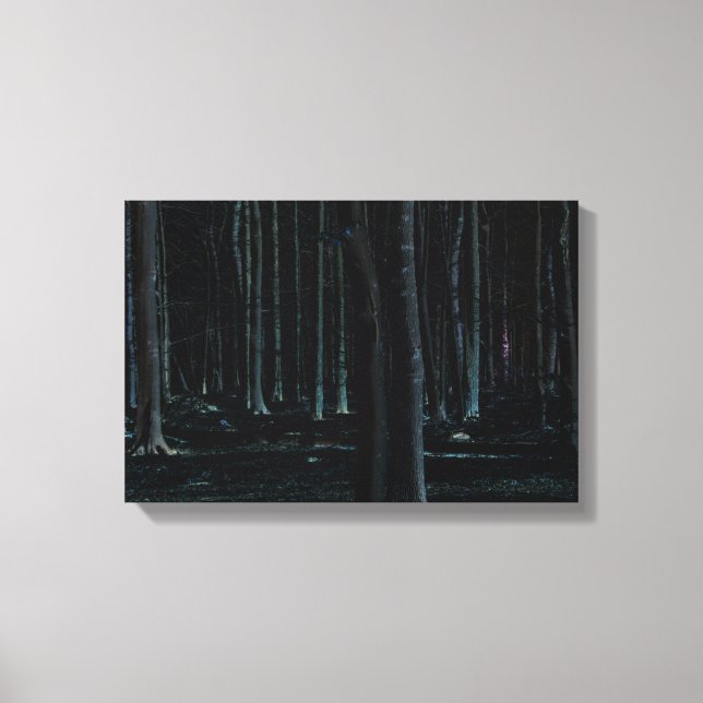 Dark Side 6 16.50x11 (41.25x27.5cm) waccna Canvas Print (Front)