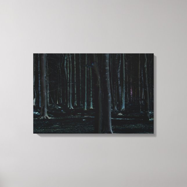 Dark Side 6 24x16 (60x40cm) waccnm Canvas Print (Front)