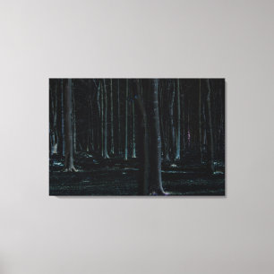 Dark Side 6 36x24 (90x60cm) waccn Canvas Print
