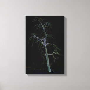 Dark Side 8 11x16.5 (27.5x41.25cm) waccna Canvas Print