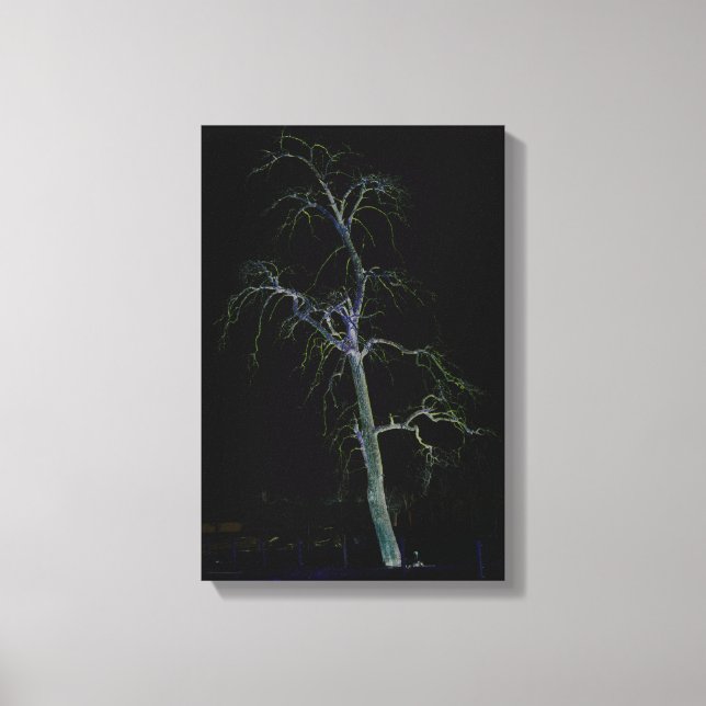 Dark Side 8 11x16.5 (27.5x41.25cm) waccnm Canvas Print (Front)