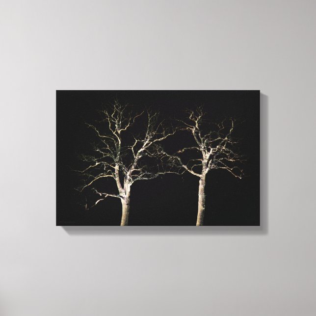 Dark Side 9 16.50x11 (41.25x27.5cm) wacm Canvas Print (Front)