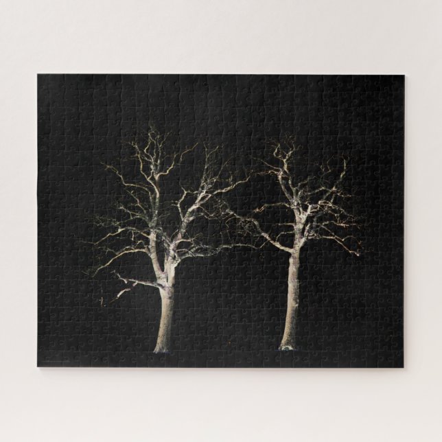 Dark Side 9 16x20 520pc jpcnm Jigsaw Puzzle (Horizontal)