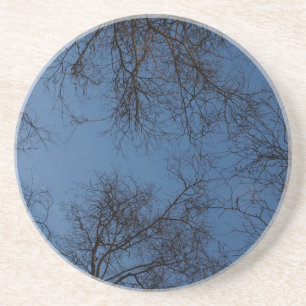 Dark silhouetted trees coaster
