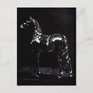 Dark Silver Postcard