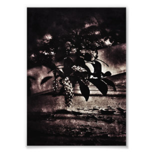 Dark Spring Photo Print