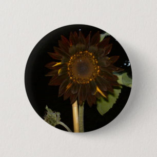 Dark Sunflower at Night 2 Inch Round Button