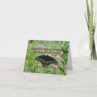 Dark Swallowtail Feeding On Clover Card