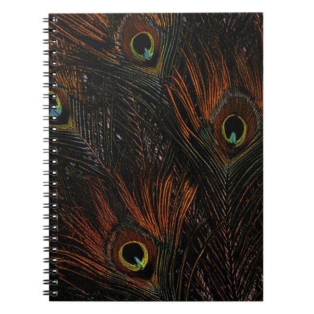 Dark Tangerine Peacock Feathers Notebook (Front)
