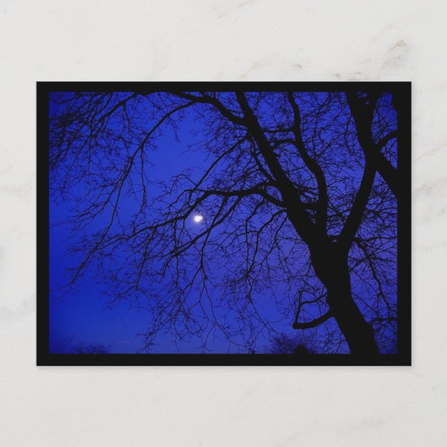 Dark Tree Postcard (Front)