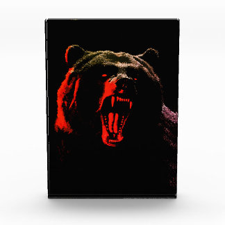 Dark Wild Bear Portrait in Dramatic Lighting Photo Block