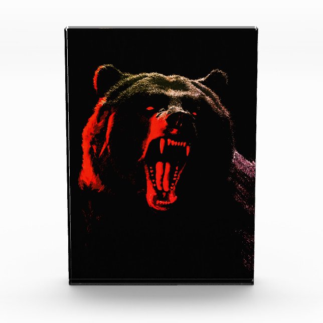 Dark Wild Bear Portrait in Dramatic Lighting Photo Block (Front)