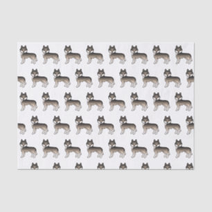 Dark Wolf Grey Siberian Husky Cute Dog Pattern Tissue Paper