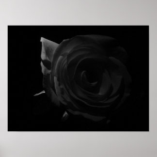 Darkened Rose Poster