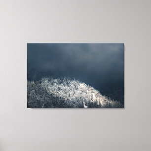 Darkness and sun over snowy spruce forest canvas print