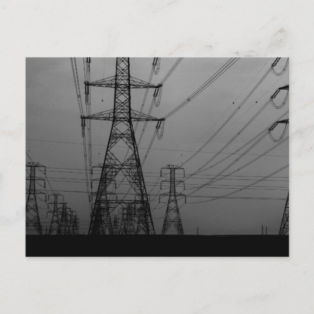 Darkness - B&W power lines Postcard (Front)