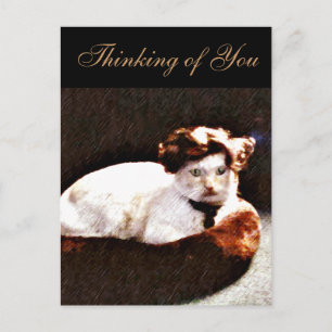 Darling,Cat_ Postcard
