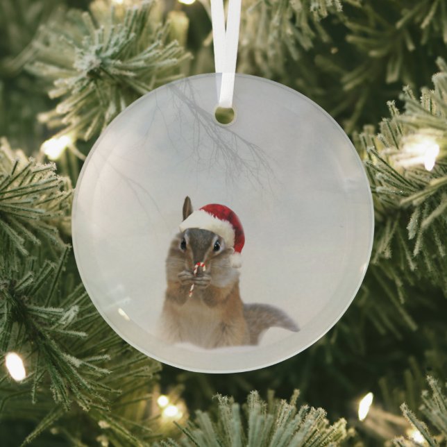 Darling Chipmunk Candy Cane and Santa Hat Glass Ornament (Insitu)