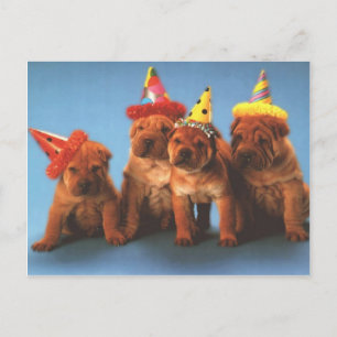 Darling Dog, Puppy Photos Cards, Gifts - Customize Postcard