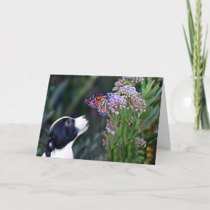 Darling Thank You For Pet Sitting Card