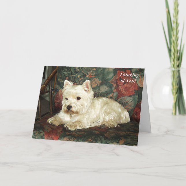 Darling West Highland Terrier Penser à votre carte (Devant)