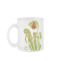 Darlingtonia californica, Carnivorous Plant