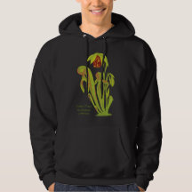 Darlingtonia californica, Carnivorous Plant
