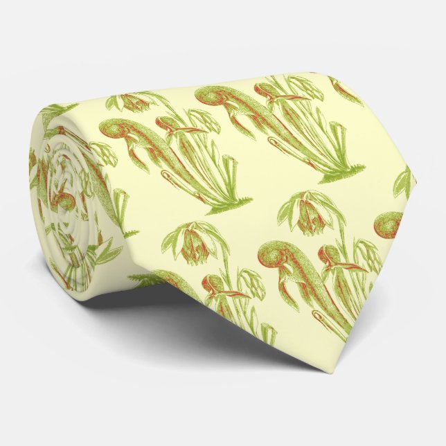 Darlingtonia californica, Carnivorous Plant Tie (Rolled)