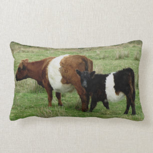 Darmoor Belted Galloway Cow And Calf Lumbar Pillow